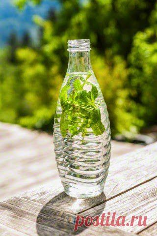 InVkus: 5 напитков, которые помогут сбросить лишний вес