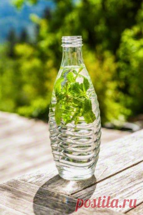 InVkus: 5 напитков, которые помогут сбросить лишний вес