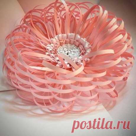 Цветы из бумаги