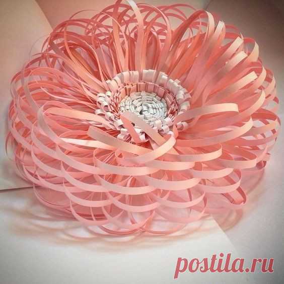 Цветы из бумаги