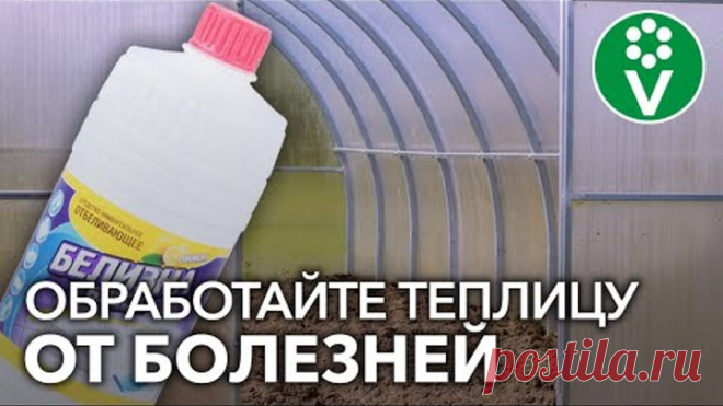 ЭТО ЛУЧШЕЕ СРЕДСТВО ДЛЯ ДЕЗИНФЕКЦИИ ТЕПЛИЦЫ ОСЕНЬЮ после томатов, огурцов и перцев