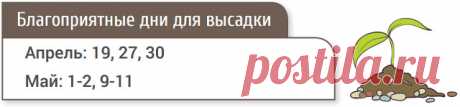 КОГДА САЖАТЬ ПОМИДОРЫ НА РАССАДУ ПО ЛУННОМУ КАЛЕНДАРЮ В 2017 ГОДУ ( ДЛЯ ТЕПЛИЦЫ) Итак, когда семена куплены и емкости подготовлены, остается только дождаться благоприятных для посева дней. Посев семян помидоров на рассаду Если планируете выращивать помидоры в теплице, семена высевайте с конца февраля до середины марта. Помните, что за сутки до посева их нужно замочить в теплой воде. Пикировка рассады томатов При оптимальных условиях (температуре 25-27°С и высокой влажности...