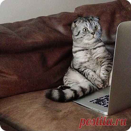 хх