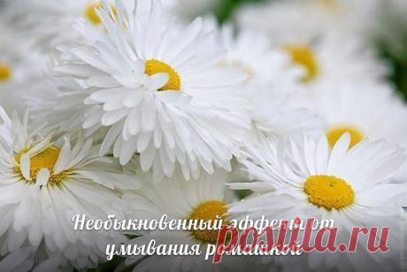 Одноклассники