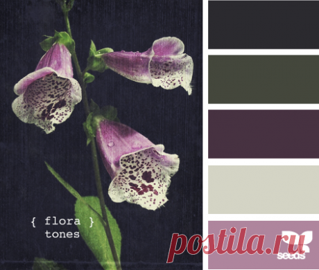 Цветы, деревья — источник вдохновения! | BepHuK собирает друзей