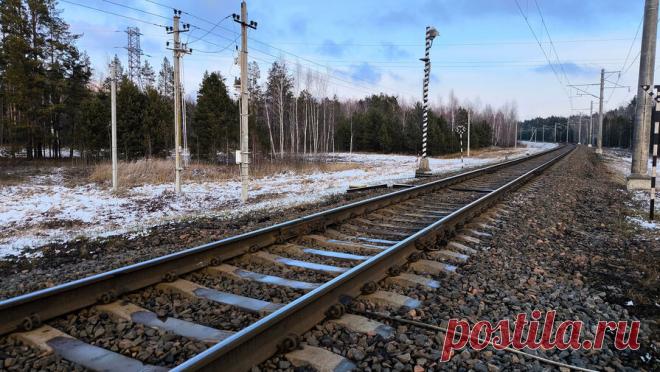В Японии приостановили движение поездов из-за мощного землетрясения. В северной части Японии приостановили движение поездов по нескольким железнодорожным линиям после мощного землетрясения. Об этом сообщила компания JR East в социальной сети X. "Входящее и нисходящее движение по линии Тохоку ...