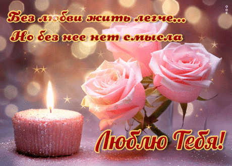 Без любви жить легче, но без нее нет смысла! Люблю тебя