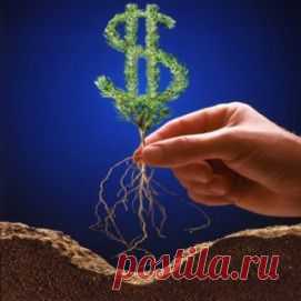 Правильное мышление поможет вам экономить деньги в повседневной жизни - Всегда в форме!