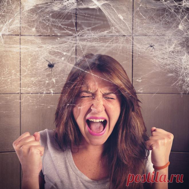 Арахнофобия - боязнь пауков. Что такое арахнофобия? Причины, симптомы, лечение арахнофобии - боязни пауков. Как лечить и вылечить арахнофобию - страх перед пауками.