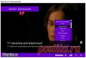 Телевидение для вас! 100 каналов! Наслаждайтесь! | Блог Семена Киракосян.