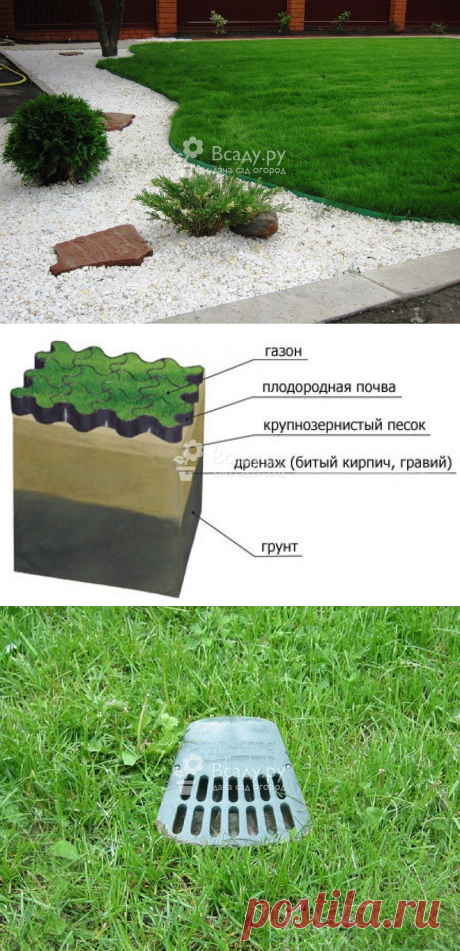Как ухаживать за газоном правильно после зимы, какую технику выбрать
Правильный уход за газоном на протяжении года позволит создать прекрасное место для отдыха, и придать участку красивый эстетичный вид. Мы расскажем о нюансах посезонных процедур и легком способе защиты от болезней и вредителей, чтобы весь сезон наслаждаться прекрасным видом изумрудной лужайки.