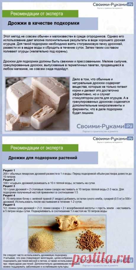 Дрожжи в качестве подкормки