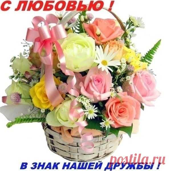 b42fe69977f8.jpg (600×600)