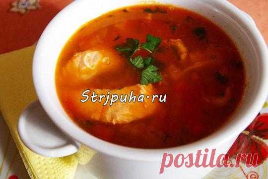 Уха из семги — Домашняя кулинария