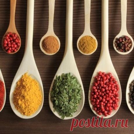 Экскурсионно-познавательный пост по специям и пряностям