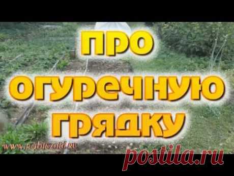 огуречная грядка