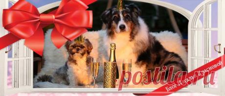 В чем встречать Новый 2018 год собаки по знакам зодиака