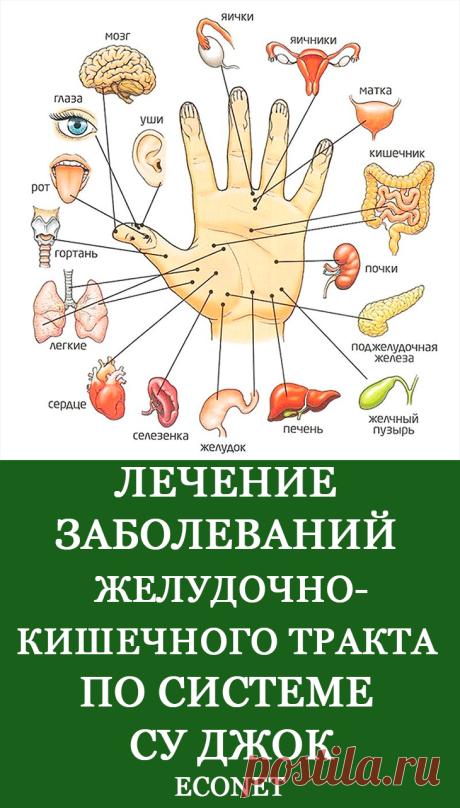Лечение заболеваний желудочно-кишечного тракта по системе Су Джок

Терапия Су Джок – это восточная методика стимулирования рефлекторных точек, расположенных на человеческом теле. Воздействуя на активные центры кистей рук и ног, вы сможете восстановить функции организма, облегчить симптомы хронических заболеваний органов пищеварения, избавиться от болезненных ощущений, спазмов, тошноты и изжоги.