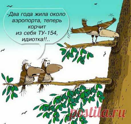 Интересные новости