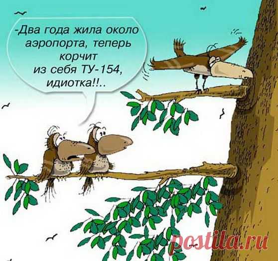Интересные новости