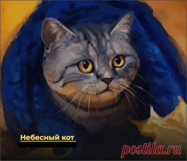 Жена - медиаплатформа МирТесен