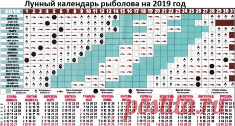 2018-10-16_000413.jpg (1190×638)