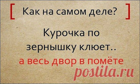 Народная мудрость