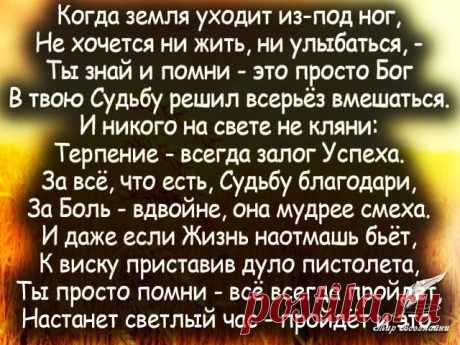 (2) Одноклассники