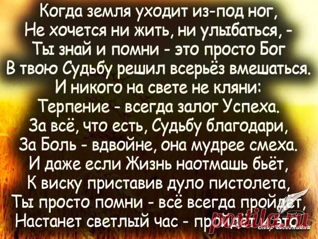 (2) Одноклассники