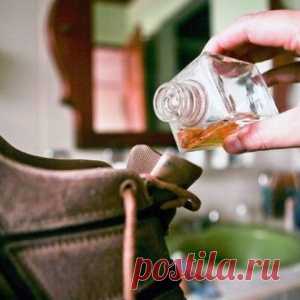 Знакомый сапожник выдал секрет, как избавить обувь и ноги от неприятного запаха - МирТесен