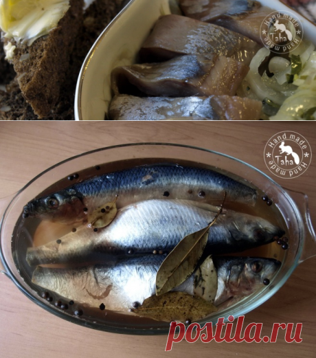 Селёдка от «А» … — Вкусные правила