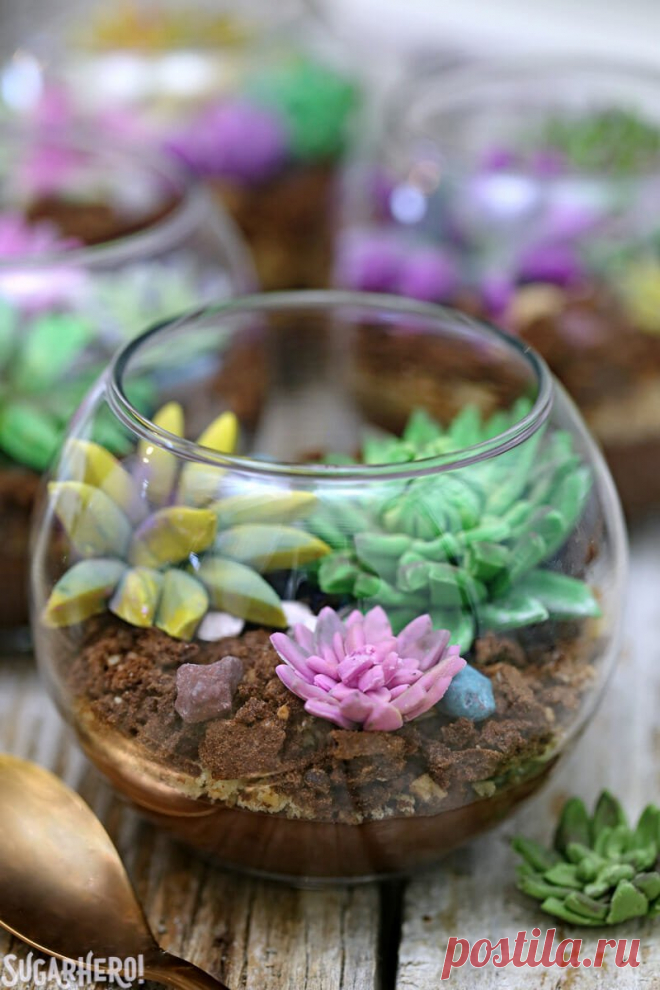Edible Terrariums with Chocolate Pudding - SugarHero