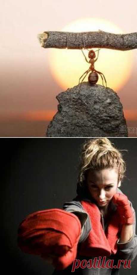 Как реагировать на грубость