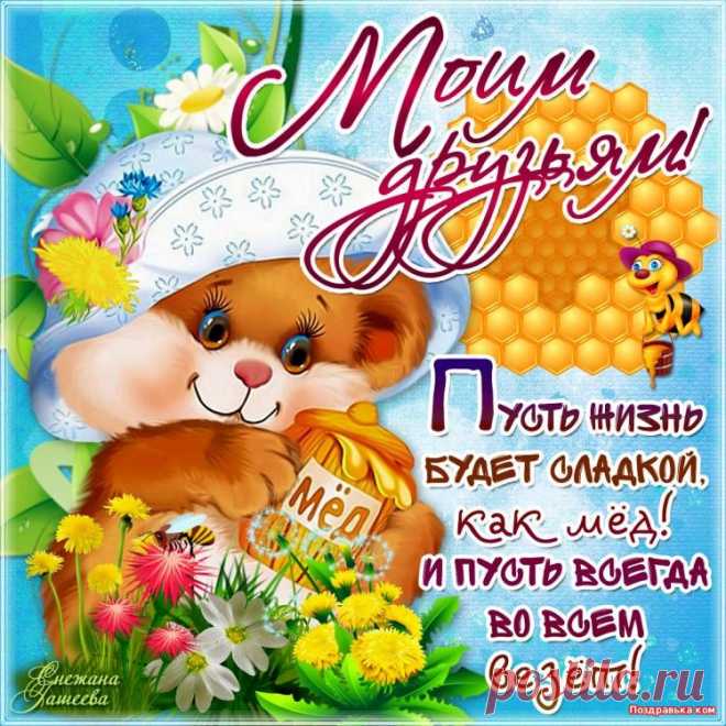 18937148.jpg (750×750)