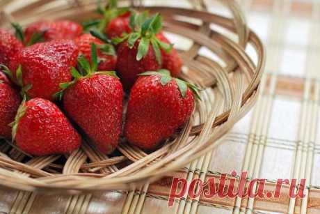 Подкормка клубники после плодоношения — Домашние заботы