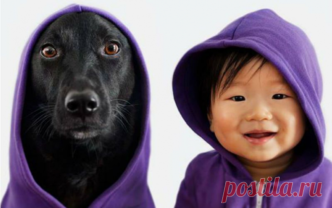 Пес и малыш устраивают модные показы (фото) - Новости - Дети@Mail.Ru