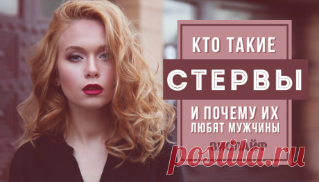 Кто такие стервы и почему их любят мужчины
Содержание Сила характера = стервозность? Самоуважение Эгоизм Готовность расстаться Спонтанность, действия не...
Читай дальше на сайте. Жми подробнее ➡