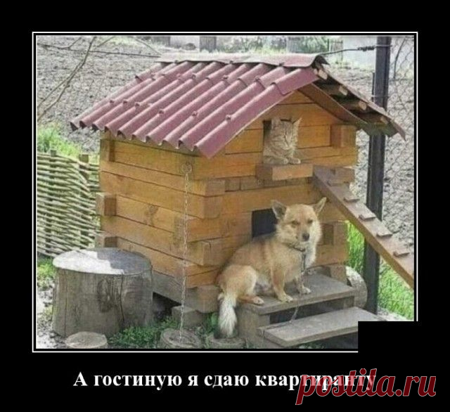 Демотиваторы (14.06.22) - Нет скуки.ру. Юмор, приколы, смешные картинки и разные интересности..