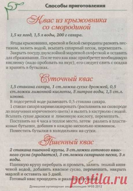 Квас из крыжовника со смородиной. Суточный квас. Пшенный квас