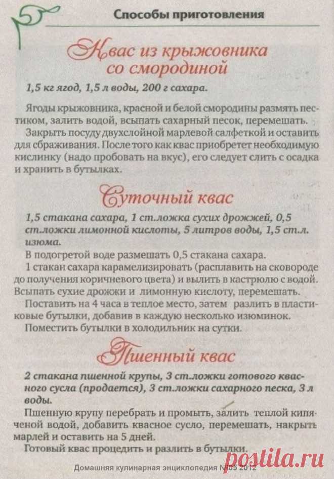 Квас из крыжовника со смородиной. Суточный квас. Пшенный квас