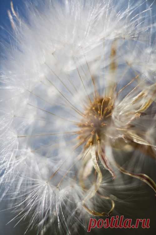 Potpourri