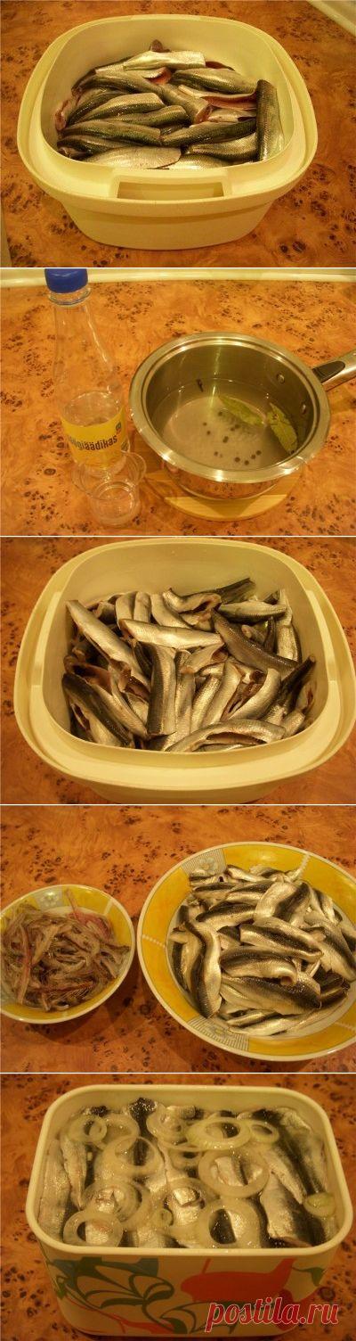 Маринованная салака (килька, мойва) : Рыбные блюда