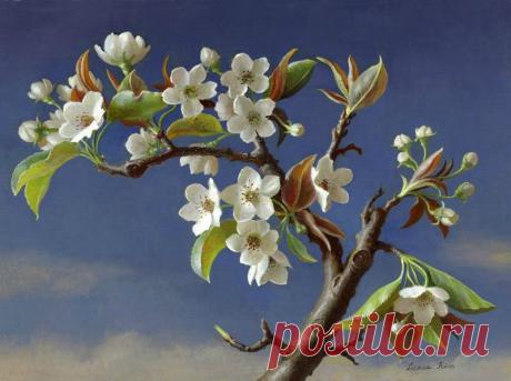рисунки цветущих яблонь — Яндекс: нашлось 3 млн результатов