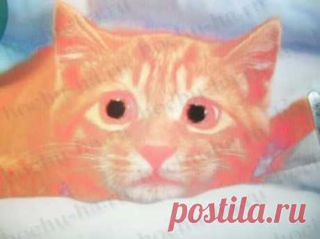 Картина из шерсти "Котенок"