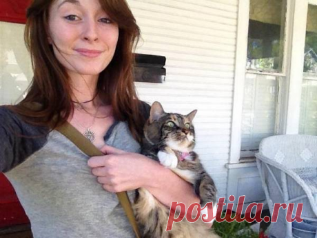 "Сдаюсь! Унесите меня домой!": Эти глаза кошек, которые вышли на улицу первый раз в жизни (+смешные фото) | Лариса Кречетова | Яндекс Дзен