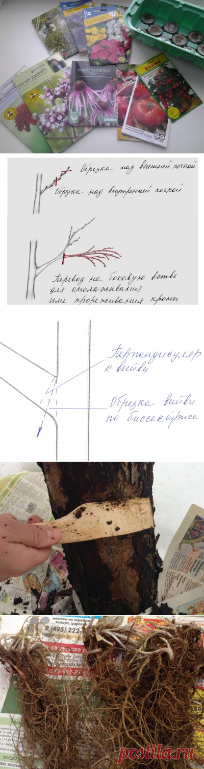 Календарь садовода "март" 2016