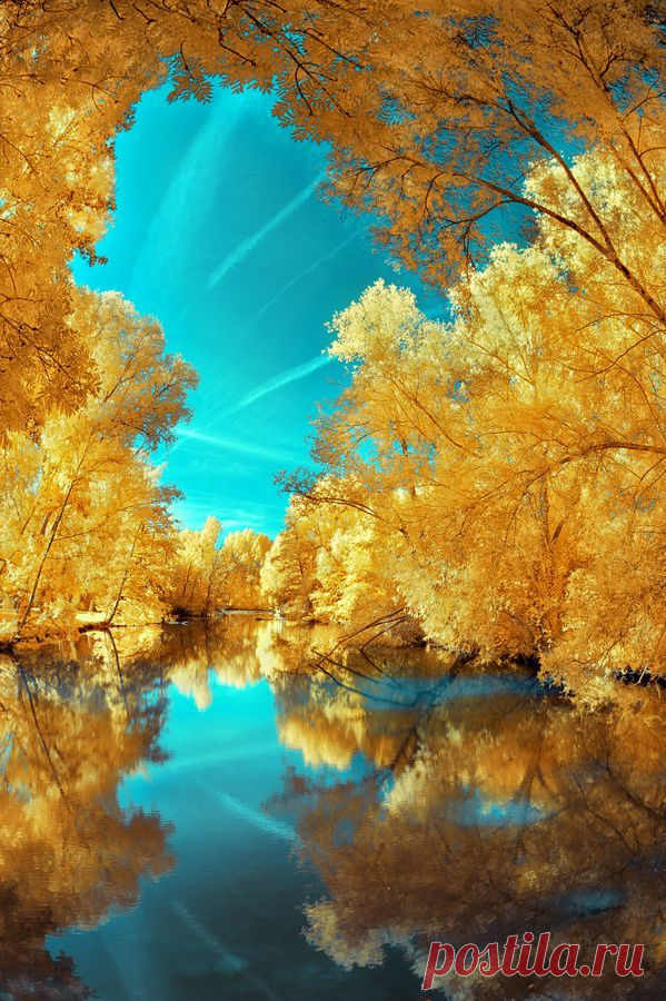 Beautiful | Natuur