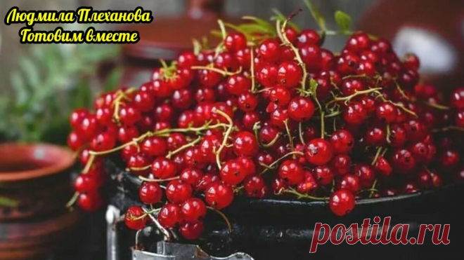 На мой взгляд, это самая вкусная заготовка на зиму из красной смородины. И делать просто, и хранить можно просто в шкафу | Людмила Плеханова Готовим вместе | Яндекс Дзен