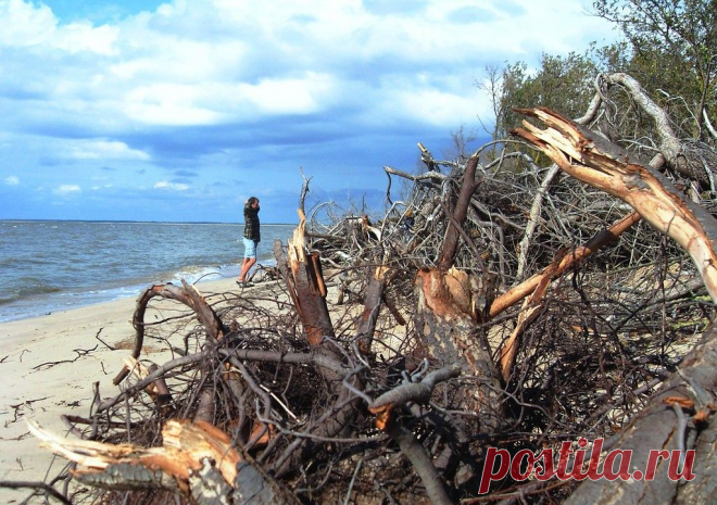 Сентябрь, у моря... и велоконь в поводу... - 31 Октября 2015 - Персональный сайт