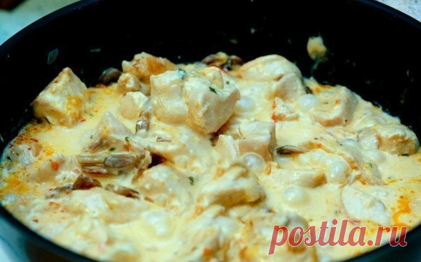 КУРИНОЕ ФИЛЕ В СЫРНОМ СОУСЕ  / Интересное в IT